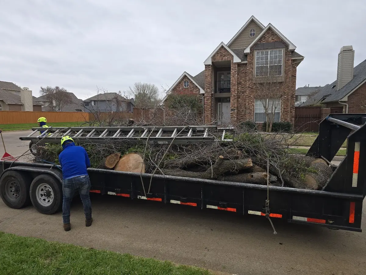 Expert Tree Fertilization with proper safety equipment in Morgan